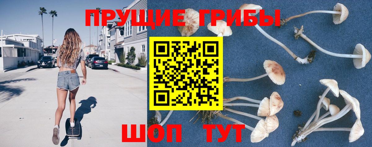 Бахчисарай  Галлюциногенные грибы ЛСД  Вход с VPN  Галлюциногенные грибы GOLDEN TEACHER 